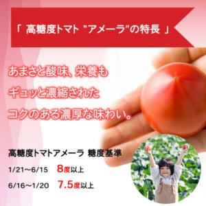 ふるさと納税 小山町 アメーラトマト 人気 ト...の詳細画像3