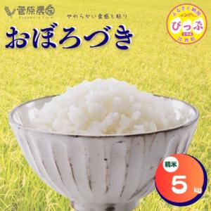 ふるさと納税 比布町 おぼろづき 精米 5kg【菅原農産】