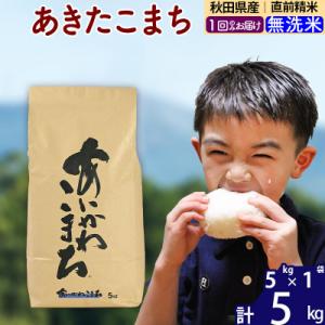 ふるさと納税 北秋田市 令和7年産 秋田県産 あきたこまち 5kg【無洗米】|foap-30301