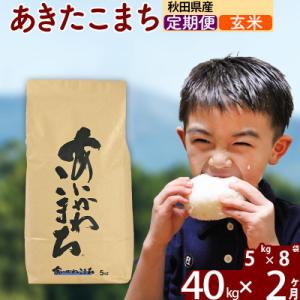 ふるさと納税 北秋田市 令和7年産《定期便2ヶ月》あきたこまち 40kg【玄米】|foap-21102