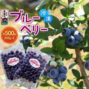 ふるさと納税 男鹿市 【男鹿ぶるーべりーガーデン】冷凍ブルーベリー250g×2パック計500g|23...