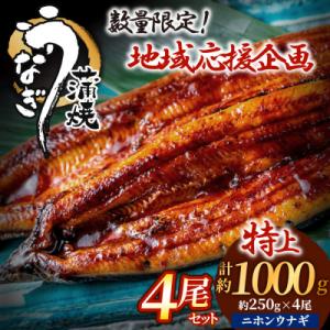 ふるさと納税 宗像市 うなぎ蒲焼き4尾セット(約250g×4尾)【魚住商店】_HA1494