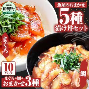 ふるさと納税 田野町 これが魚屋の漬け丼だ!魚屋のおまかせ5種漬け丼セット(鮪+鯛+おまかせ3種) ...