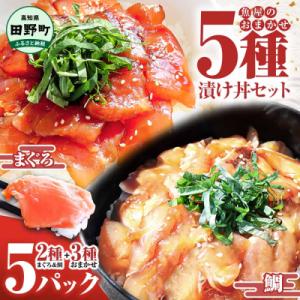 ふるさと納税 田野町 これが魚屋の漬け丼だ!魚屋の訳あり5種海鮮丼セット(マグロ+鯛+おまかせ3種)...
