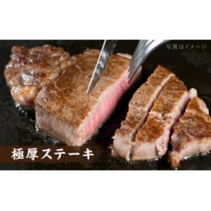 ふるさと納税 糸島市 【全12回定期便】【ヒレ...の詳細画像2