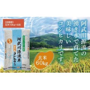 ふるさと納税 山口市 【定期便】阿武川源流米コシ...の商品画像