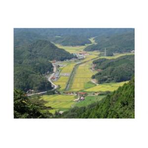 ふるさと納税 山口市 【定期便】阿武川源流米コ...の詳細画像2