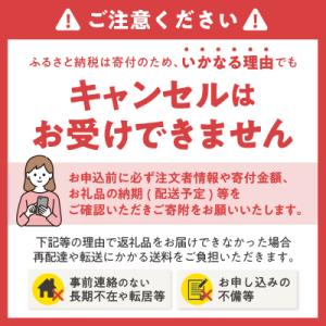 ふるさと納税 富士市 きぬはなソフトパックティ...の詳細画像3