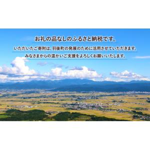 ふるさと納税 羽後町 【返礼品なし】秋田県羽後町へのご寄附(一口:1,000円)[No.5325-0305]