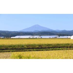 ふるさと納税 羽後町 【返礼品なし】秋田県羽後...の詳細画像1