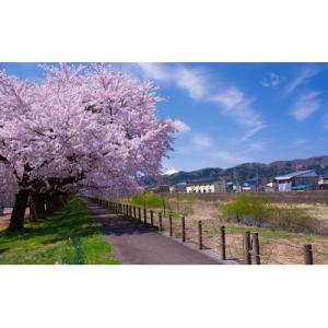 ふるさと納税 羽後町 【返礼品なし】秋田県羽後...の詳細画像2