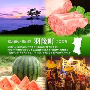 ふるさと納税 羽後町 【返礼品なし】秋田県羽後...の詳細画像3