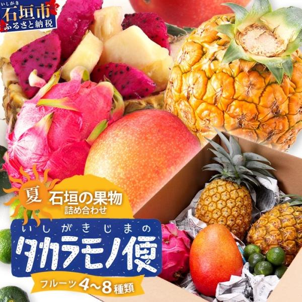 ふるさと納税 石垣市 《2027年夏に順次発送予定》石垣島の夏「果物」詰め合わせ〜夏のタカラモノ果物...