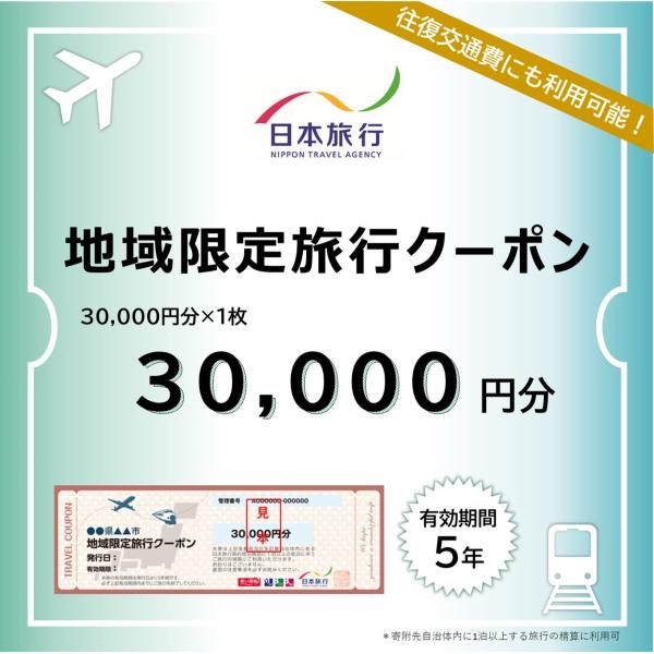 ふるさと納税 石垣市 沖縄県石垣市　地域限定旅行クーポン30,000円分