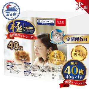 ふるさと納税 富士市 定期便【全6回】【極】シリーズ 犬用ペットシーツ 薄型スーパーワイド 40枚 ペットシート 日本製