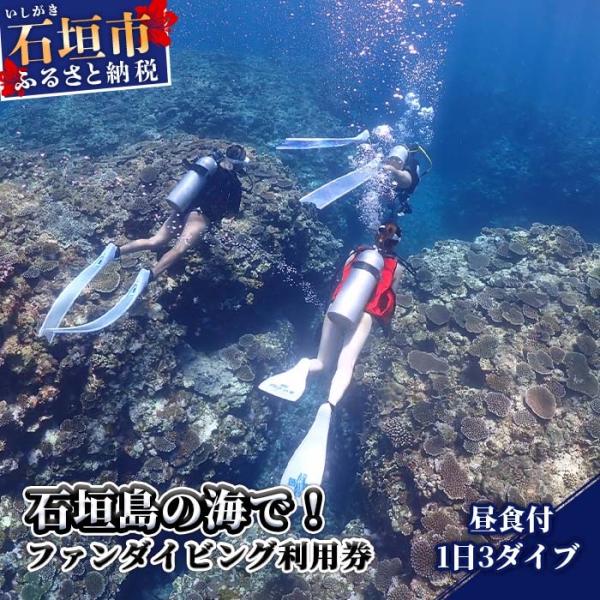 ふるさと納税 石垣市 MP-2 石垣島の海でファンダイビング利用券1日3ダイブ