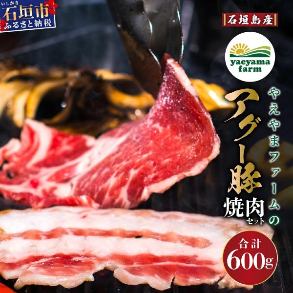 ふるさと納税 石垣市 石垣島産 やえやまファームのアグ―豚(南ぬ豚)焼肉セット600g