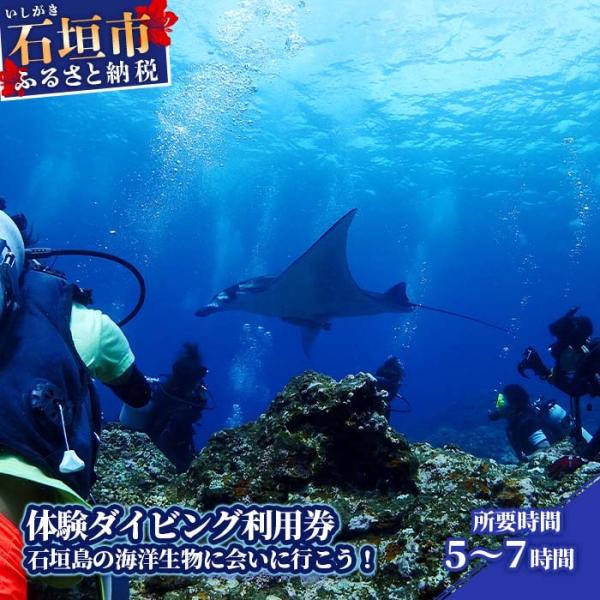 ふるさと納税 石垣市 体験ダイビング利用券　石垣島のマンタ・サンゴ・ウミガメに会いに行こう YD-2...