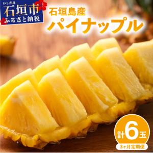 ふるさと納税 石垣市 【定期便3回】石垣島産 パイナップル3種 計6玉【2027年 5月頃・6月・7...