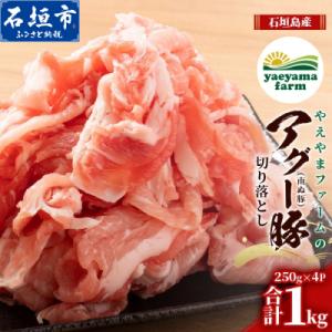 ふるさと納税 石垣市 南ぬ豚 切り落とし 1kg (250g×4) 自家用