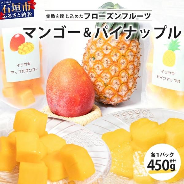 ふるさと納税 石垣市 お徳用フローズンカットフルーツ KP-104