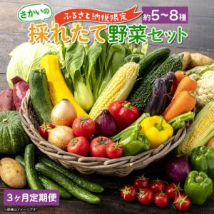 ふるさと納税 境町 【定期便/3ヶ月連続お届け】さかいの採れたて 野菜セット(5〜8種) 道の駅さか...