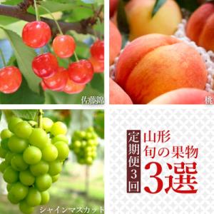 ふるさと納税 長井市 【2026年発送】【定期便3回】山形旬の果物3選(佐藤錦/桃/シャインマスカット)_H235(R8)