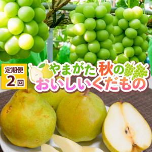 ふるさと納税 山形市 【定期便2回】 やまがた 秋のおいしいくだもの【令和8年産】FS25-777