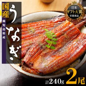 ふるさと納税 大崎町 鹿児島県産うなぎ長蒲焼120g×2尾セット