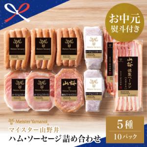 ふるさと納税 南さつま市 【お中元ギフト】【マイスター山野井】ハム・ソーセージ 5種 詰合せ 計10...