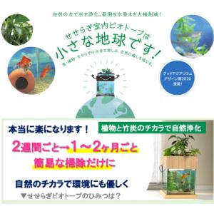 ふるさと納税 東広島市 せせらぎビオトープ 2...の詳細画像2