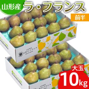 ふるさと納税 山形市 山形のラ・フランス大玉 10kg(20〜28玉) 前半【令和8年産】FS25-747