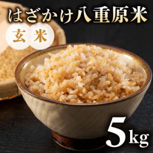 ふるさと納税 東御市 令和8年新米予約!標高700mの台地で稲作一筋の農家が育てたはざかけ八重原米5kg(1袋)玄米