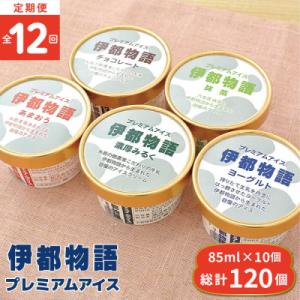 ふるさと納税 糸島市 【全12回定期便】伊都物語 プレミアムアイス10個(5種×2個)セット[AFB026]