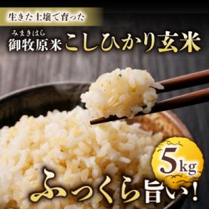 ふるさと納税 東御市 【先行受付2026年発送】長野県産!生きた土壌で育った御牧原米こしひかり 玄米(令和8年産)　5kg
