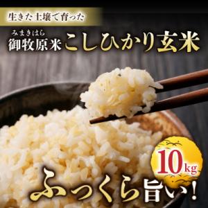 ふるさと納税 東御市 【先行受付2026年発送】...の商品画像