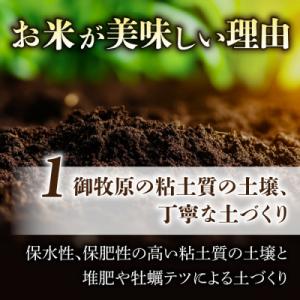 ふるさと納税 東御市 【先行受付2026年発送...の詳細画像2