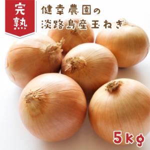 ふるさと納税 淡路市 健幸農園の完熟淡路島産玉ねぎ 5kg　ak29032