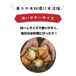 ふるさと納税 淡路市 健幸農園の完熟淡路島産玉...の詳細画像2