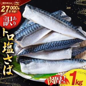 ふるさと納税 気仙沼市 訳あり 塩サバ フィレ 1kg [足利本店 20565942] さば 鯖