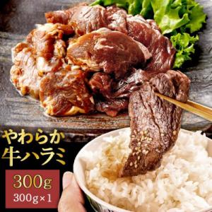 ふるさと納税 薩摩川内市 やわらか牛ハラミ(サガリ)肉　極旨秘伝醤油タレ漬け 300g(300g×1袋)【訳あり】ZS-553