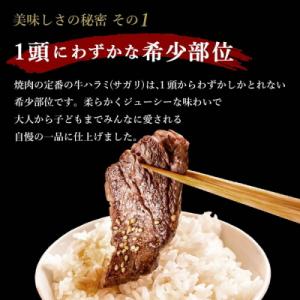 ふるさと納税 薩摩川内市 やわらか牛ハラミ(サ...の詳細画像1