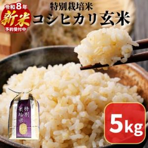 ふるさと納税 小松島市 【2026年9月より順次発送】コシヒカリ 玄米 5kg 特別栽培米 新米 一等米 こめ お米 健康