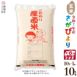 ふるさと納税 神埼市 【令和7年産】さがびより 玄米 10kg【6ヶ月定期便】農園(H061B49)