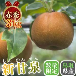 ふるさと納税 八頭町 新甘泉(赤秀) 3kg【やまさきファーム】