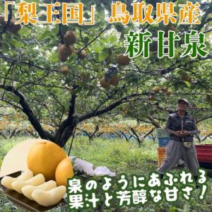 ふるさと納税 八頭町 新甘泉(赤秀) 3kg【...の詳細画像1