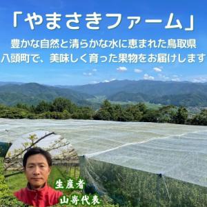 ふるさと納税 八頭町 新甘泉(赤秀) 3kg【...の詳細画像2