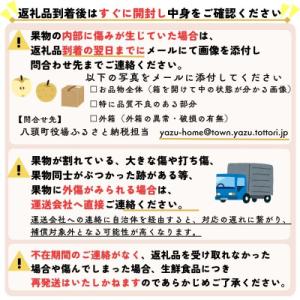 ふるさと納税 八頭町 新甘泉(赤秀) 3kg【...の詳細画像3