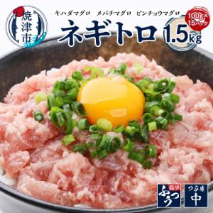 ふるさと納税 焼津市 ネギトロ100g×15パック 合計1.5kg(a10-1220)