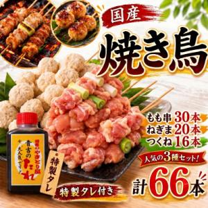 ふるさと納税 小松島市 焼き鳥 セット 66本 もも つくね ねぎま 鶏肉 やきとり 串焼 チキン もも肉 つくね 冷凍